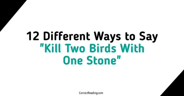 12 Different Ways to Say Kill Two Birds With One Stone